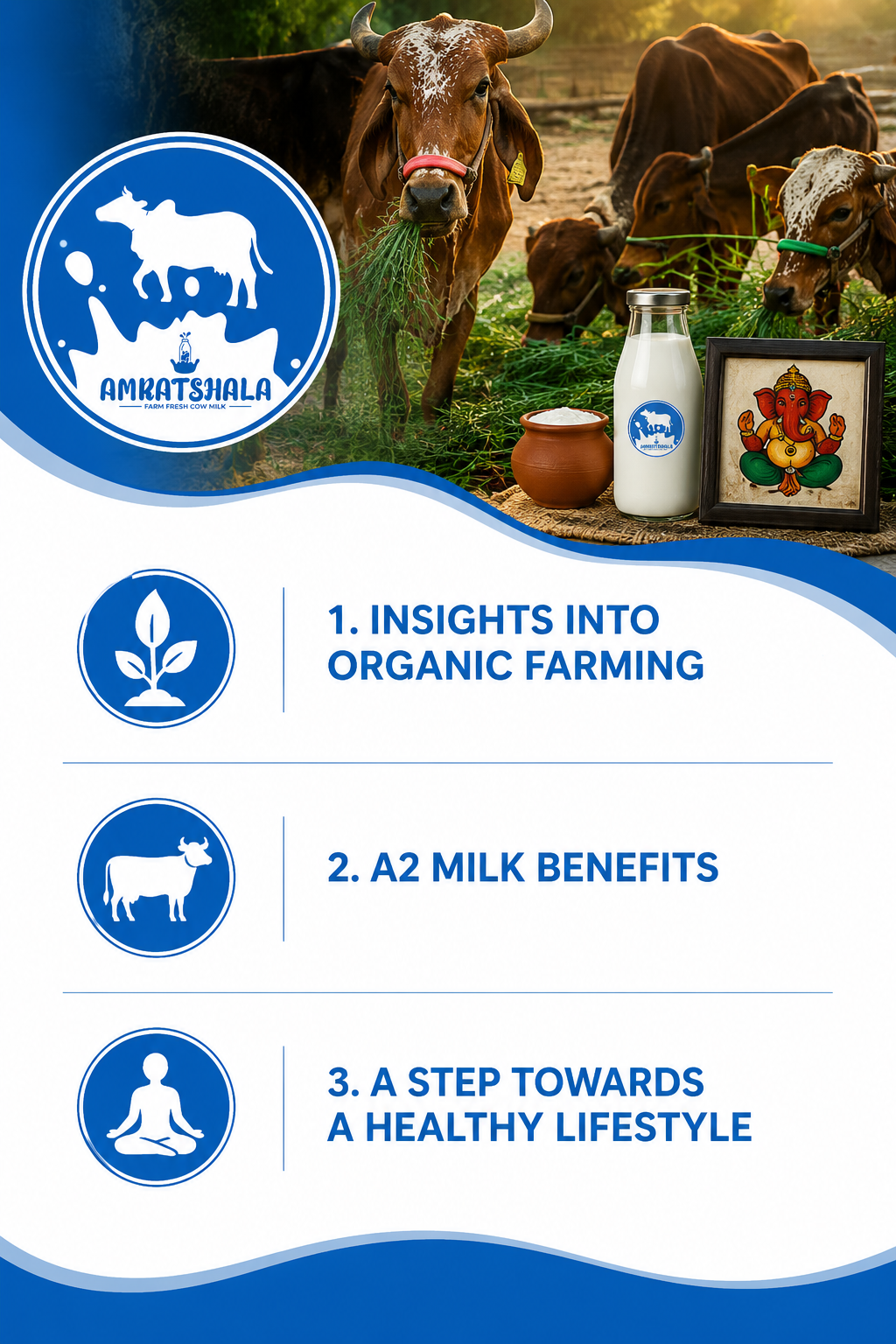 Nourishing Life Naturally: The Amratshala Journey Towards Organic Living